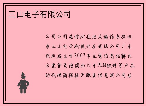 三山电子有限公司